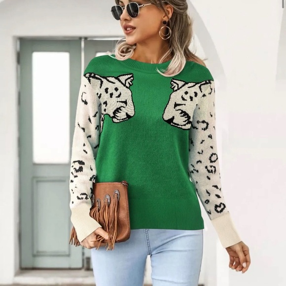 Green Leopard Print Sweater - Picture 2 of 9